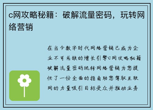 c网攻略秘籍：破解流量密码，玩转网络营销