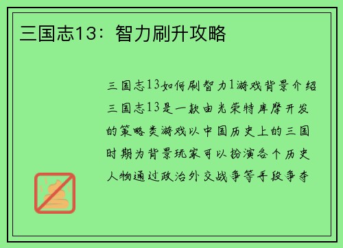 三国志13：智力刷升攻略